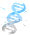 human genome